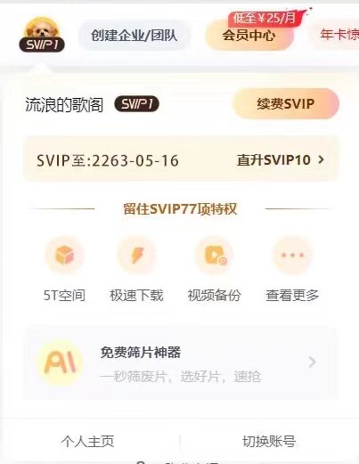百度网盘SVIP功能展示